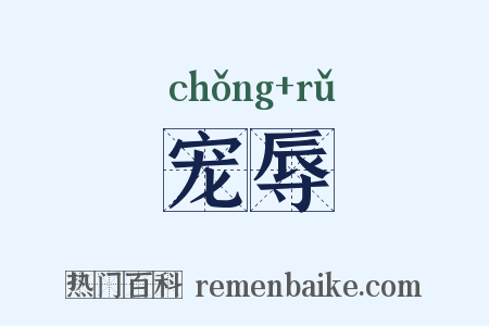 宠辱是什么意思的图片